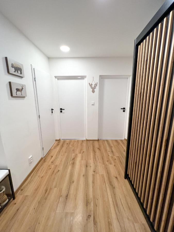 Apartman Visek Jáchymov Eksteriør billede