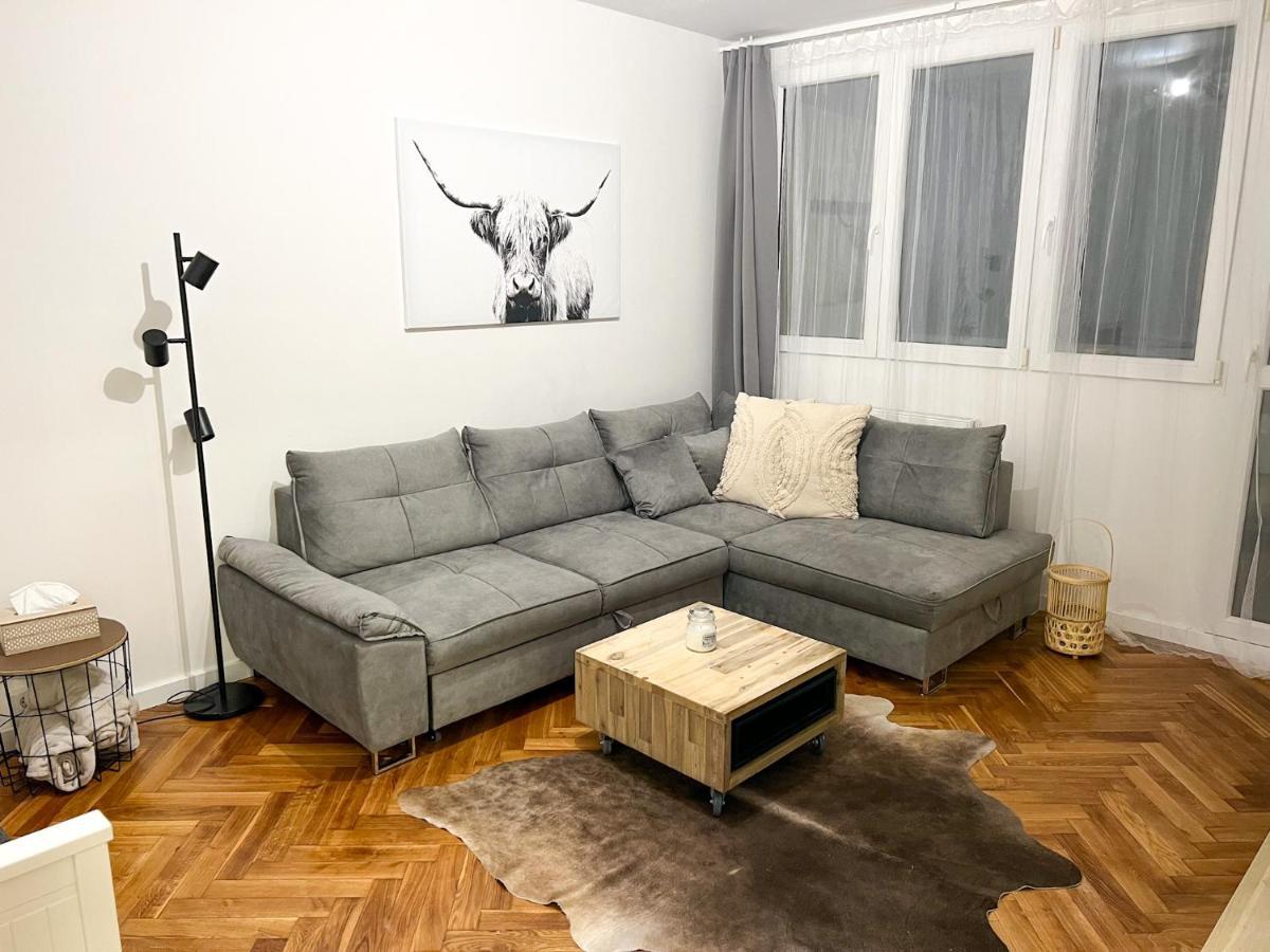 Apartman Visek Jáchymov Eksteriør billede