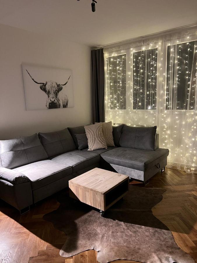 Apartman Visek Jáchymov Eksteriør billede